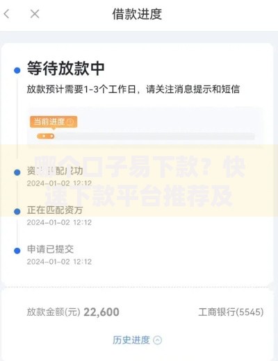 哪个口子易下款？快速下款平台推荐及审核技巧解析