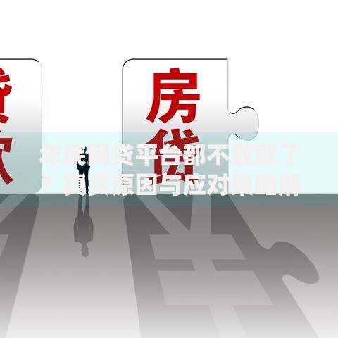 年底网贷平台都不放款了？真实原因与应对策略解析