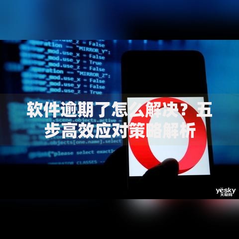 软件逾期了怎么解决？五步高效应对策略解析