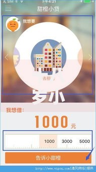 十八岁小额贷款必过的软件有哪些？选择要点全解析