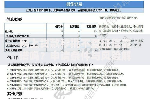 网上贷款秒批不查征信靠谱吗？申请条件与风险解析