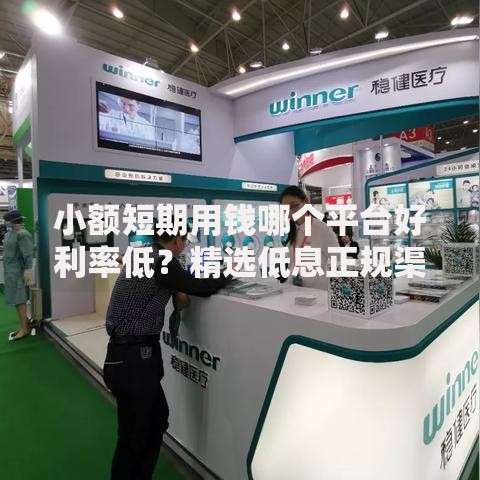 小额短期用钱哪个平台好利率低？精选低息正规渠道解析
