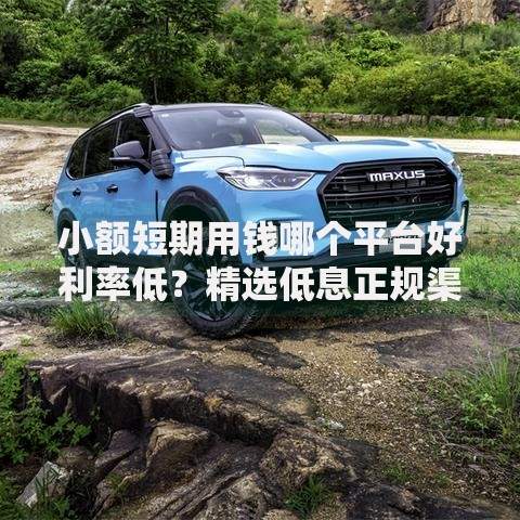 小额短期用钱哪个平台好利率低？精选低息正规渠道解析