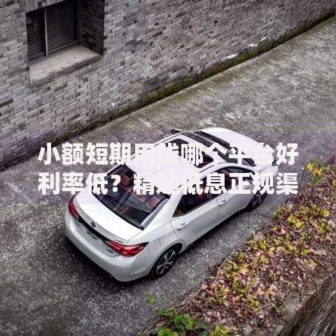 小额短期用钱哪个平台好利率低？精选低息正规渠道解析