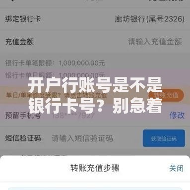 开户行账号是不是银行卡号?别急着转账,先搞懂这3个区别! 开户行账号是不是银行卡号?别急着转账,先搞懂这3个区别!