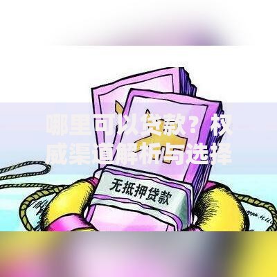 哪里可以贷款?权威渠道解析与选择指南 哪里可以贷款?权威渠道解析与选择指南