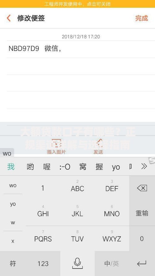 大额贷款口子有哪些？正规渠道详解与选择指南