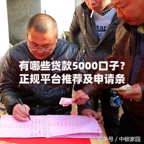 有哪些贷款5000口子？正规平台推荐及申请条件解析