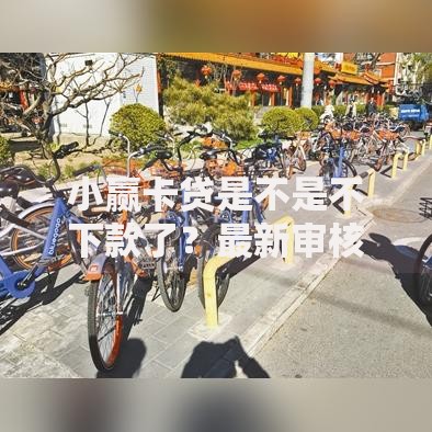 小赢卡贷是不是不下款了？最新审核政策深度解析