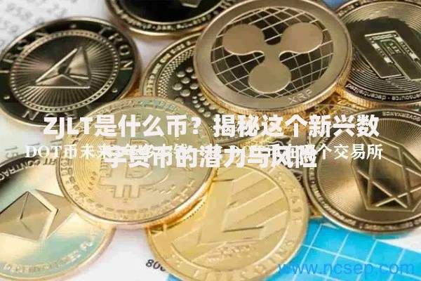 ZJLT是什么币？揭秘这个新兴数字货币的潜力与风险