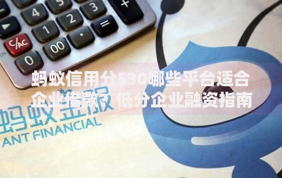 蚂蚁信用分530哪些平台适合企业借款？低分企业融资指南
