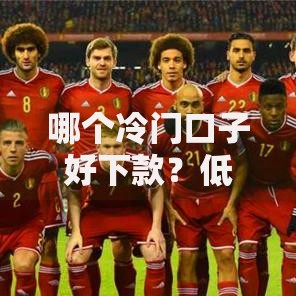 哪个冷门口子好下款？低门槛高通过率渠道解析