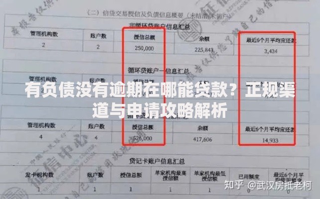 有负债没有逾期在哪能贷款？正规渠道与申请攻略解析