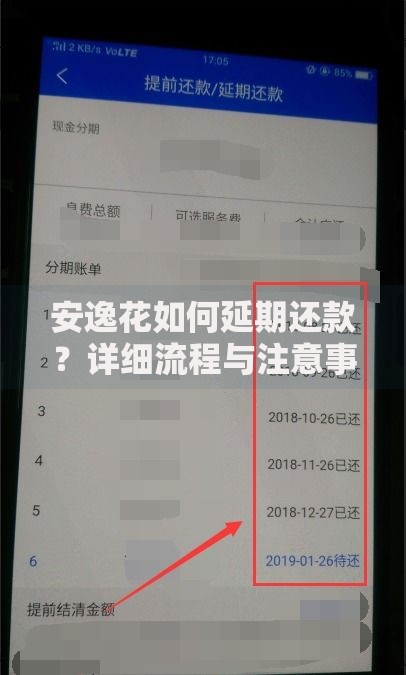 安逸花如何延期还款？详细流程与注意事项解析