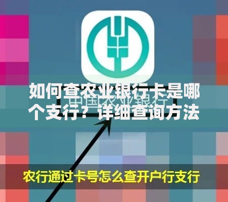 如何查农业银行卡是哪个支行？详细查询方法分享