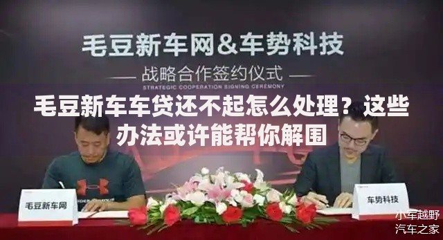 毛豆新车车贷还不起怎么处理？这些办法或许能帮你解围