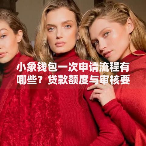 小象钱包一次申请流程有哪些？贷款额度与审核要点解析