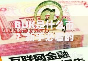 BUK是什么币？新手必看的潜力解析与投资指南