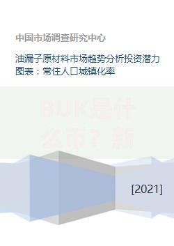 BUK是什么币？新手必看的潜力解析与投资指南