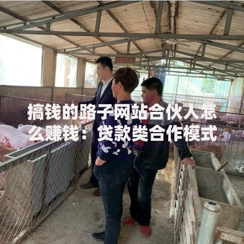 搞钱的路子网站合伙人怎么赚钱：贷款类合作模式全解析