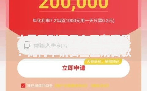 大圣系列口子入口在哪里？如何申请安全正规贷款渠道
