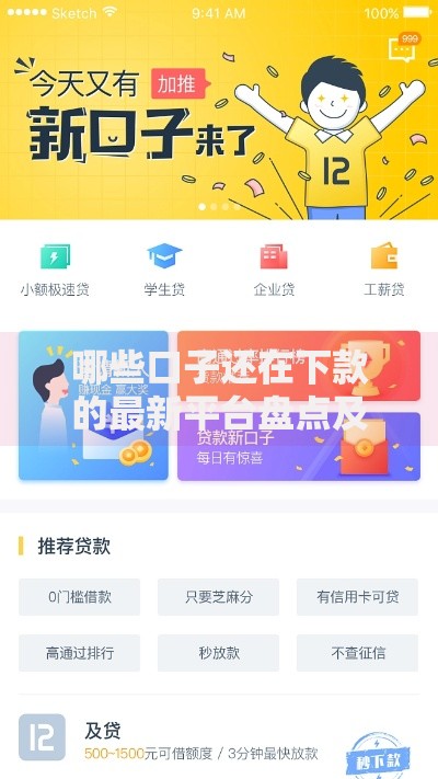 哪些口子还在下款的最新平台盘点及申请攻略