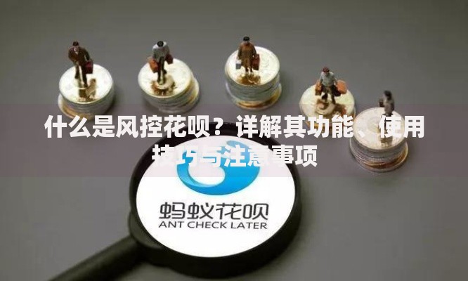 什么是风控花呗？详解其功能、使用技巧与注意事项