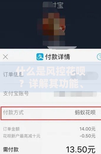 什么是风控花呗？详解其功能、使用技巧与注意事项