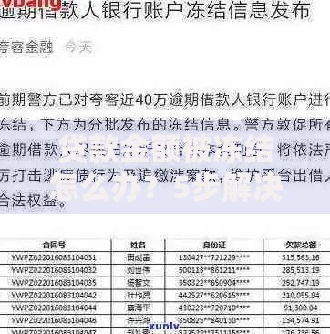 贷款金额被冻结怎么办？5步解决方案详解