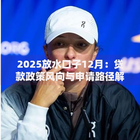2025放水口子12月：贷款政策风向与申请路径解析