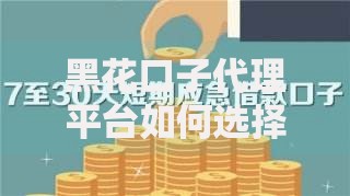 黑花口子代理平台如何选择安全可靠的贷款渠道？