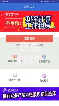 京东的5个贷款口子有哪些？全面解析与选择指南