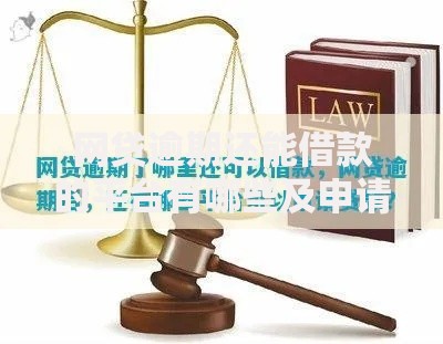 网贷逾期还能借款的平台有哪些及申请条件解析