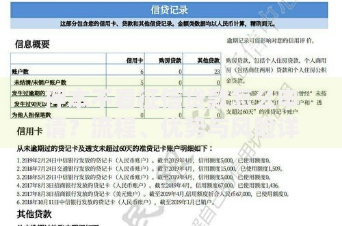 押本不看征信贷款怎么申请？流程、优势与风险详解
