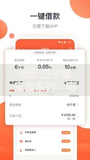 借款口子暖宝宝系列：哪些渠道审核快利率低？