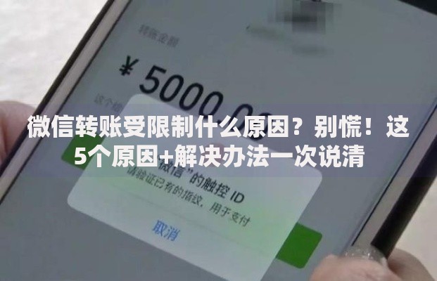 微信转账受限制什么原因？别慌！这5个原因+解决办法一次说清