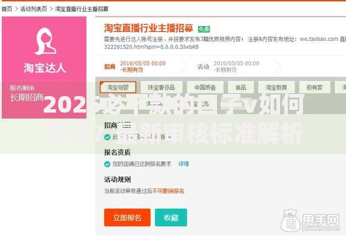 2025必下款的口子v如何申请？最新审核标准解析