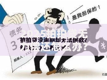 2025拍拍贷无力偿还怎么办？三大应对策略助你化解债务危机