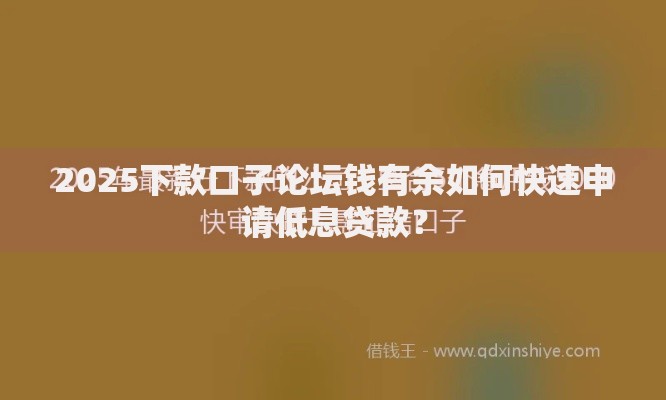 2025下款口子论坛钱有余如何快速申请低息贷款？