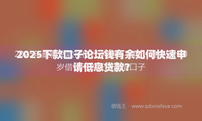 2025下款口子论坛钱有余如何快速申请低息贷款？