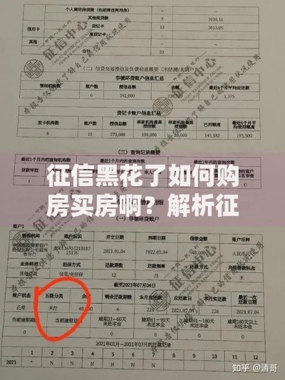 征信黑花了如何购房买房啊？解析征信不良者的贷款购房策略