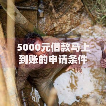 5000元借款马上到账的申请条件与正规平台推荐