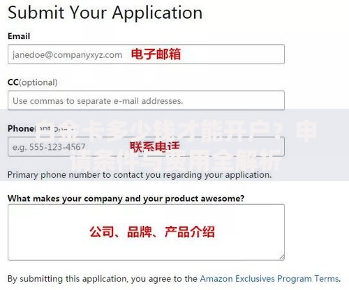 白金卡多少钱才能开户？申请条件与费用全解析