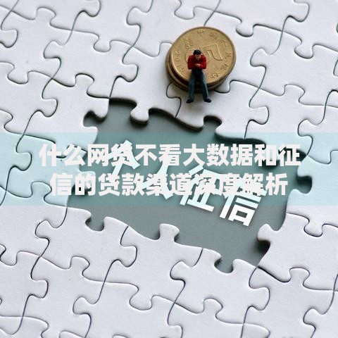 什么网贷不看大数据和征信的贷款渠道深度解析