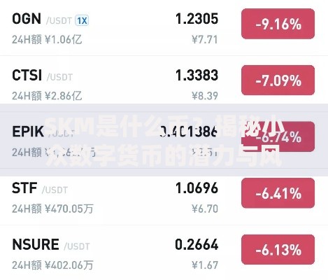 SKM是什么币？揭秘小众数字货币的潜力与风险