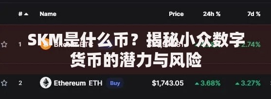 SKM是什么币？揭秘小众数字货币的潜力与风险
