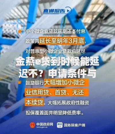 金燕e贷到时候能延迟不？申请条件与流程解析