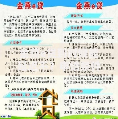 金燕e贷到时候能延迟不？申请条件与流程解析