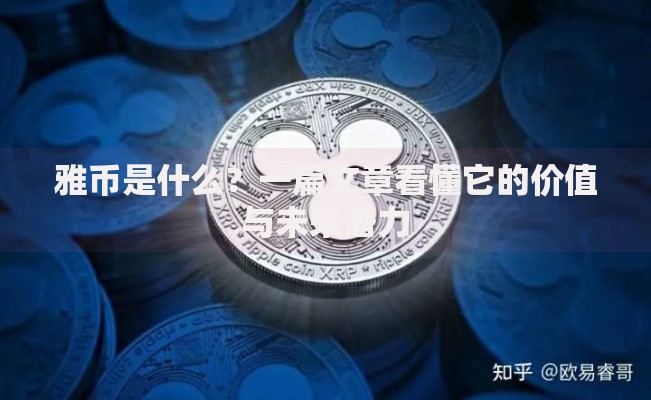雅币是什么？一篇文章看懂它的价值与未来潜力