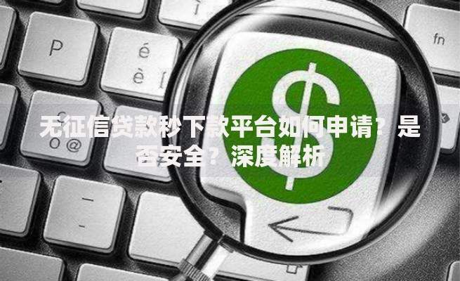 无征信贷款秒下款平台如何申请？是否安全？深度解析